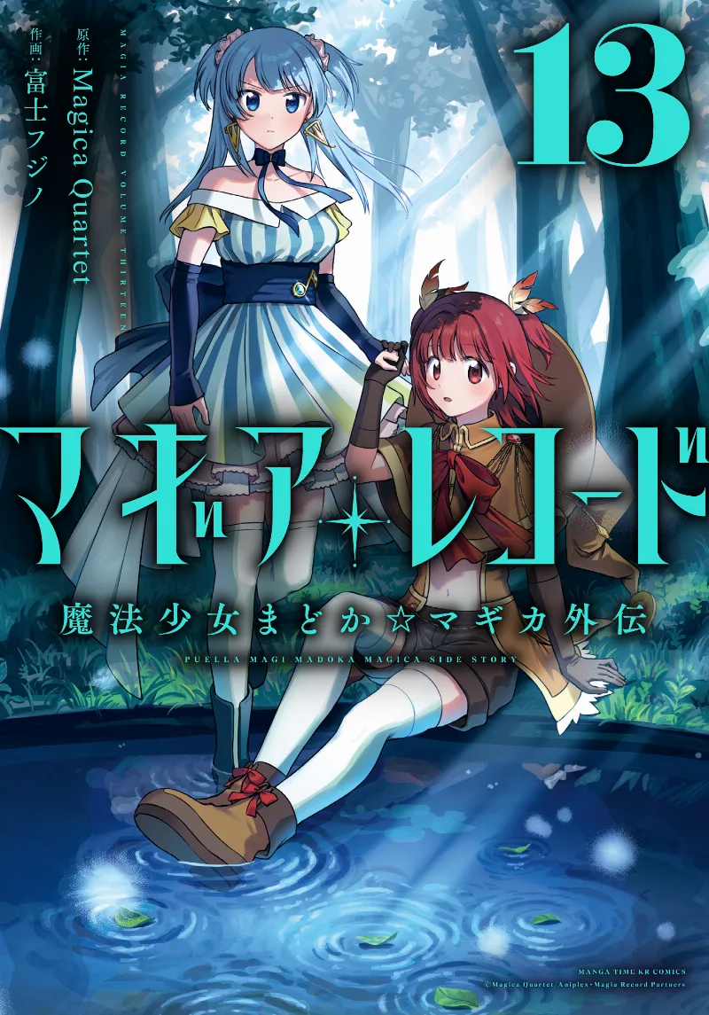 Volume 13
