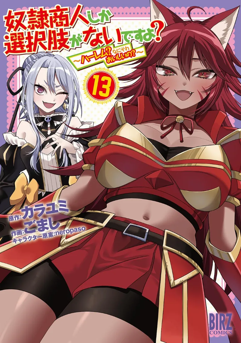 Volume 13