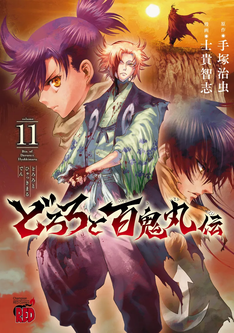 Volume 11