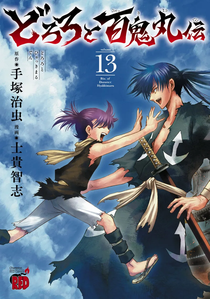 Volume 13