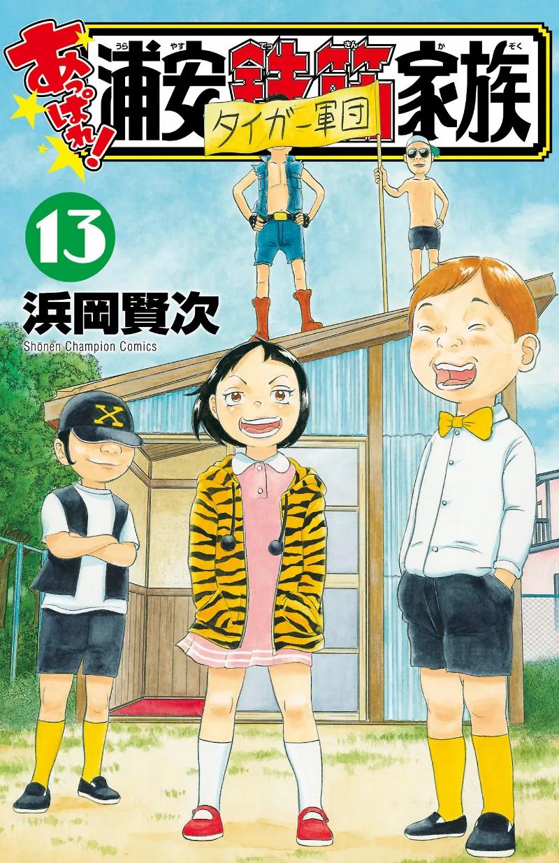 Volume 13