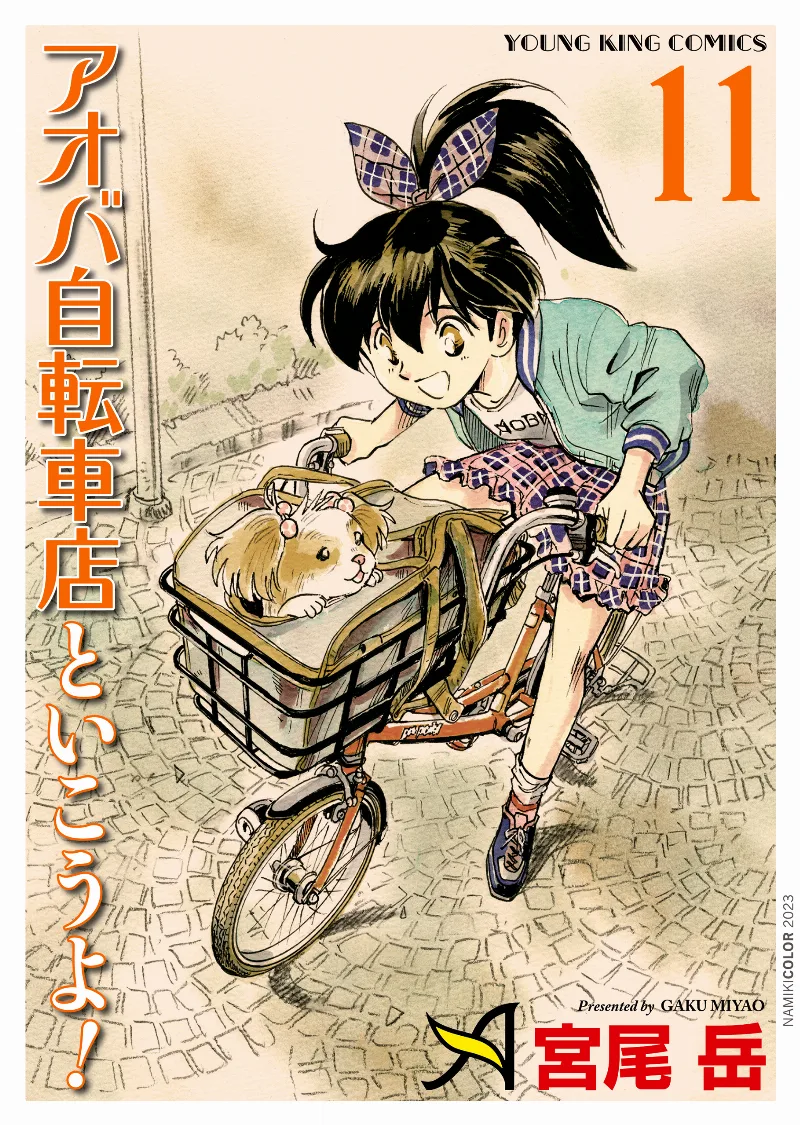 Volume 11