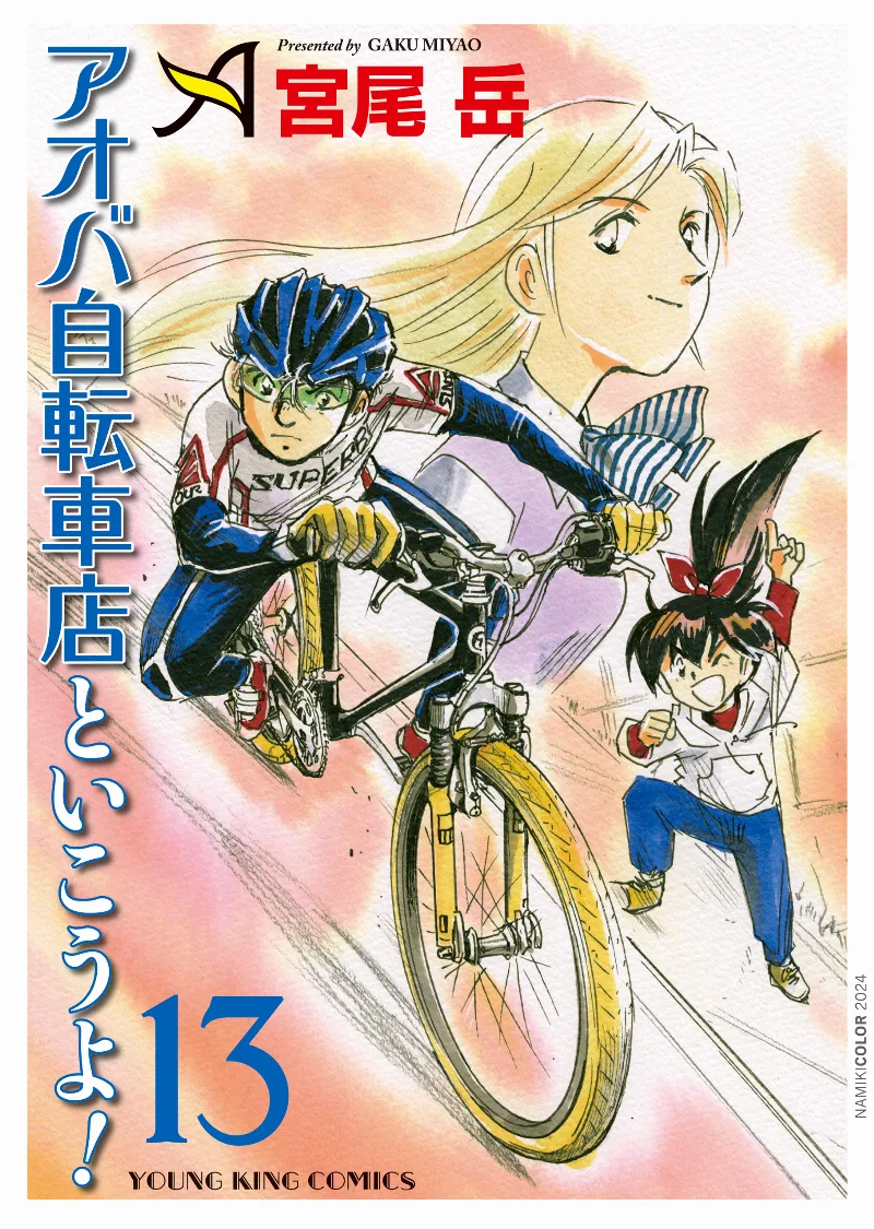 Volume 13