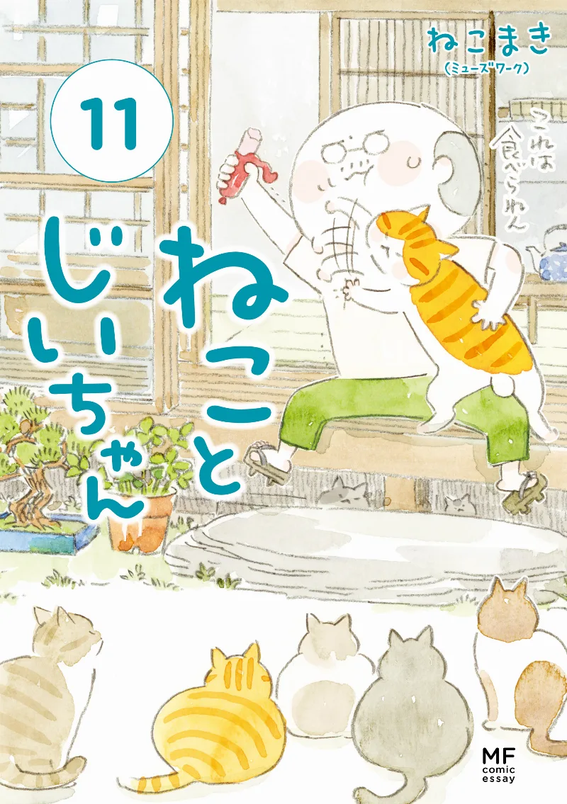 Volume 11