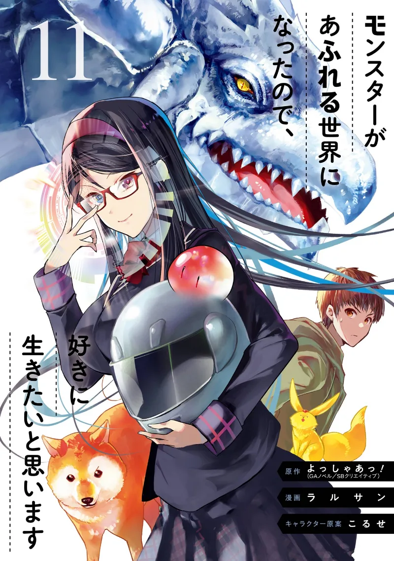 Volume 11