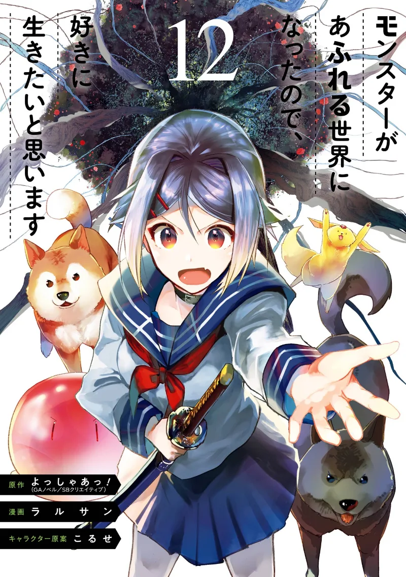 Volume 12