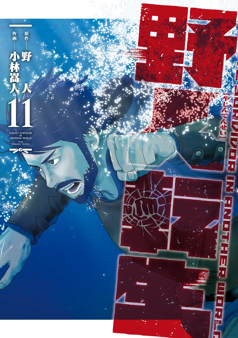 Volume 11
