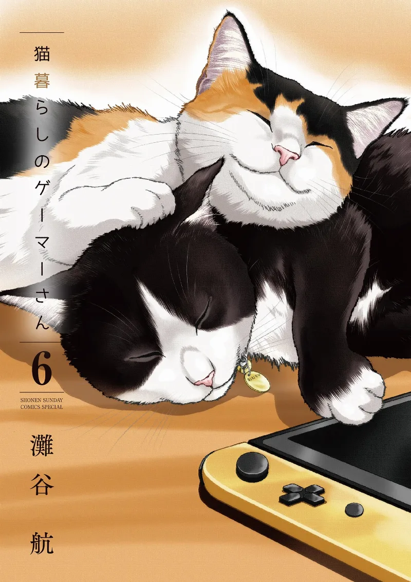 Volume 06