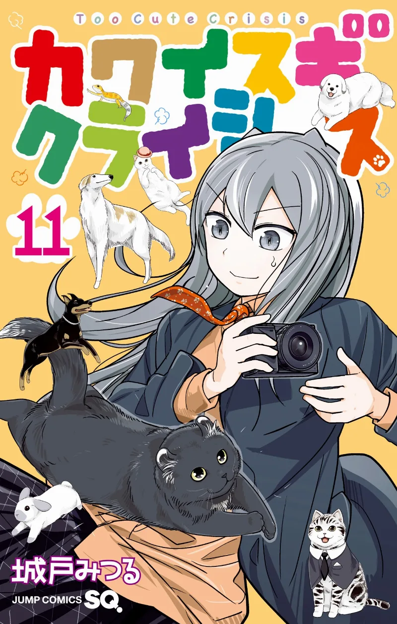 Volume 11