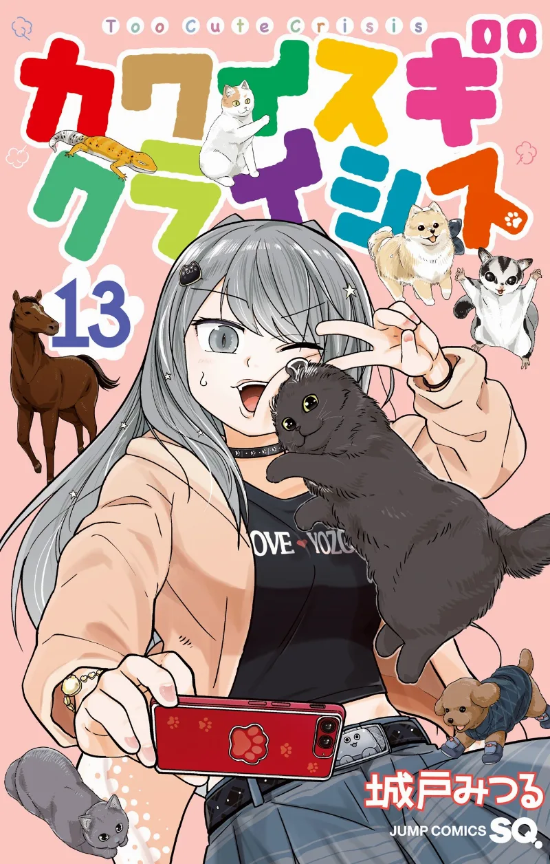 Volume 13
