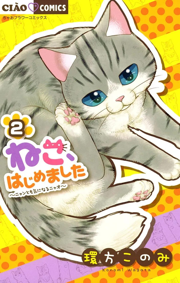 Volume 02