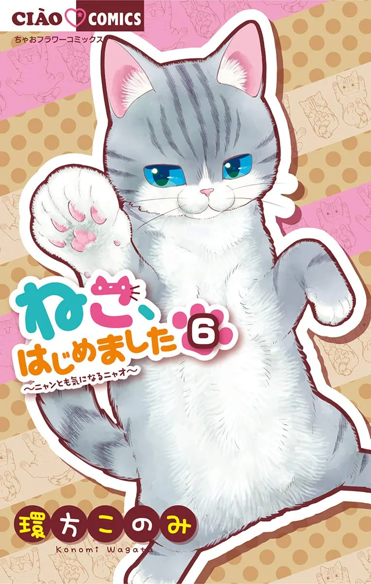 Volume 06