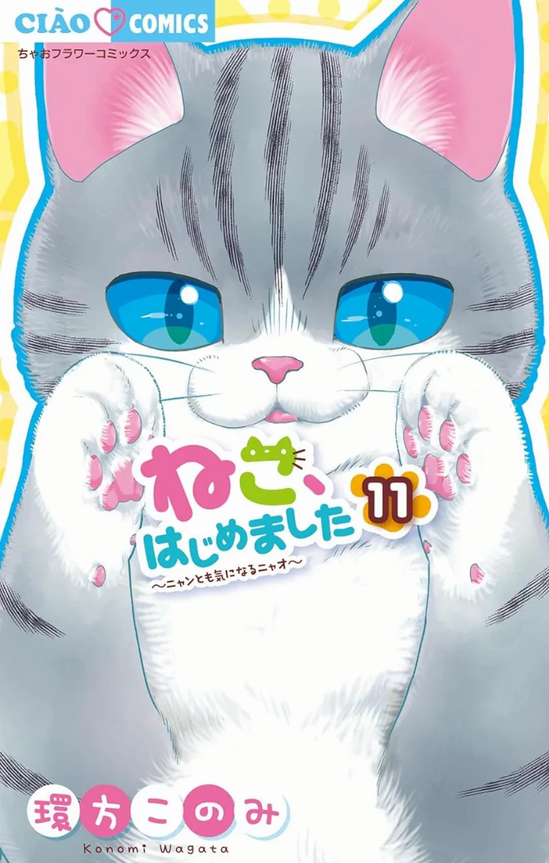 Volume 11