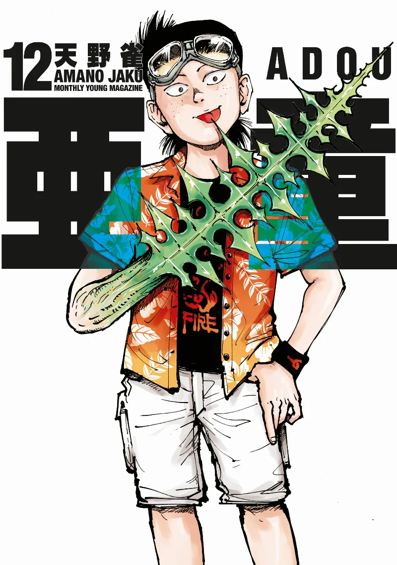 Volume 12