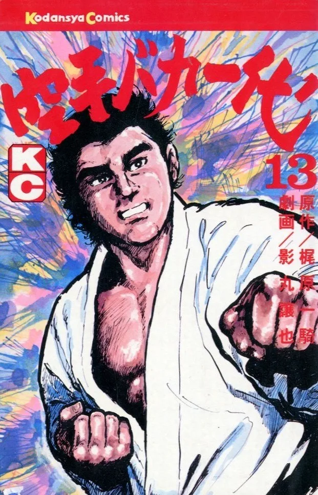 Volume 13