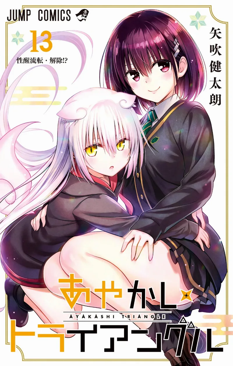 Volume 13