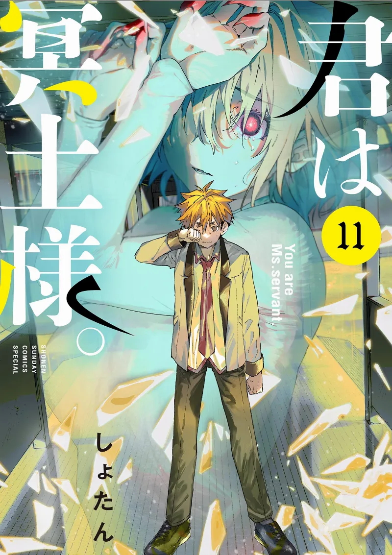 Volume 11