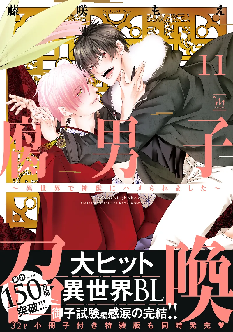 Volume 11