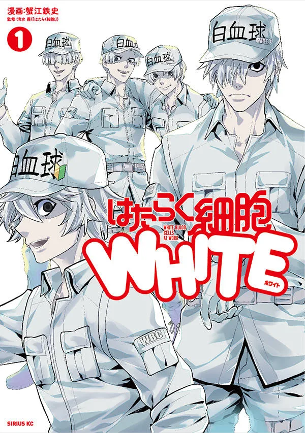 Volume 01