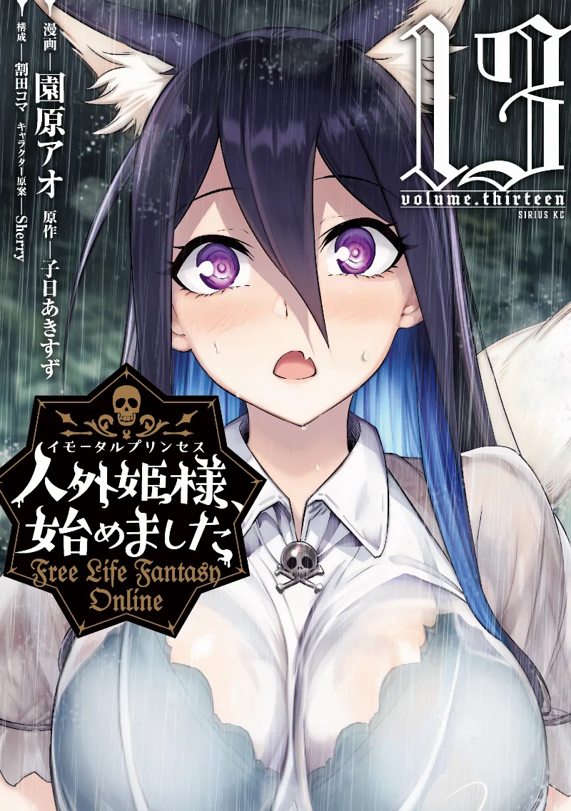 Volume 13