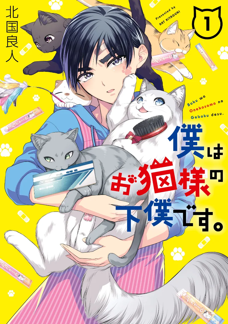 Volume 01