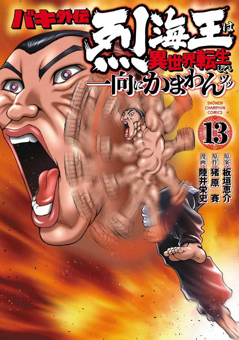 Volume 13
