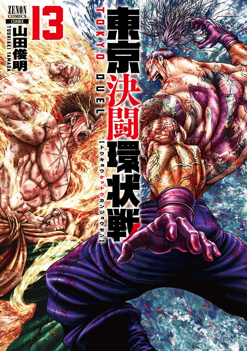 Volume 13