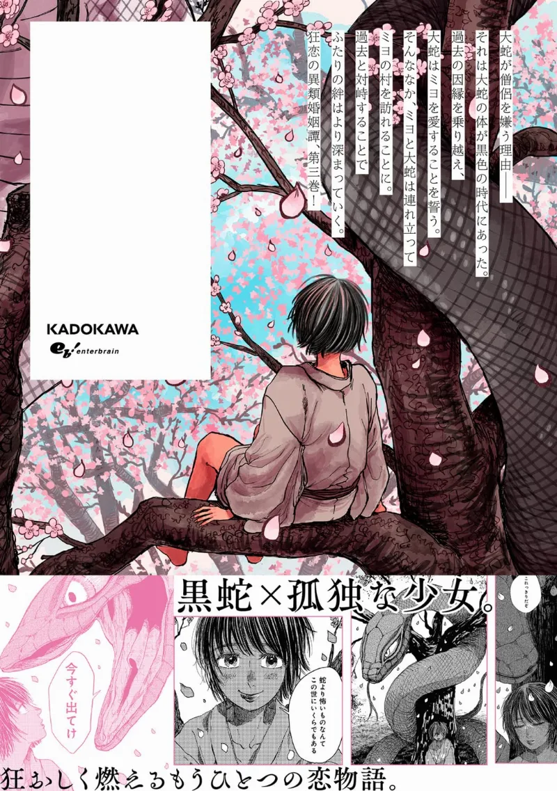Volume 03.1