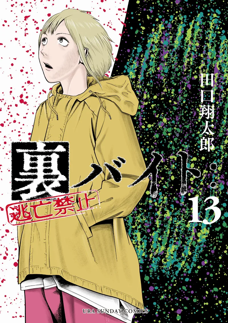 Volume 13