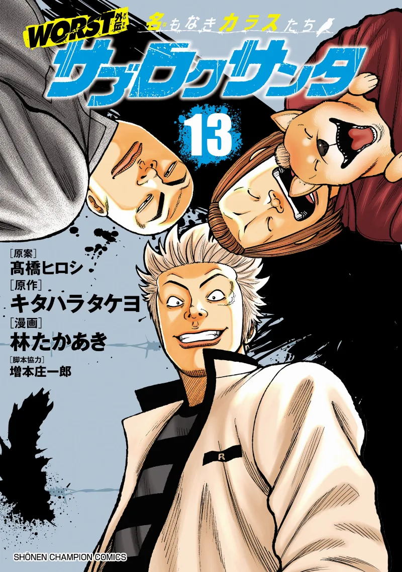 Volume 13