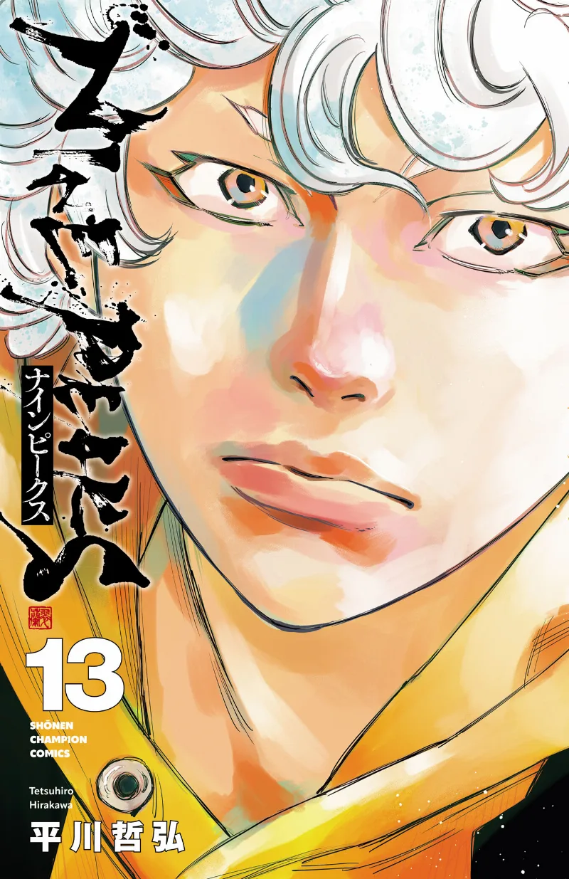Volume 13