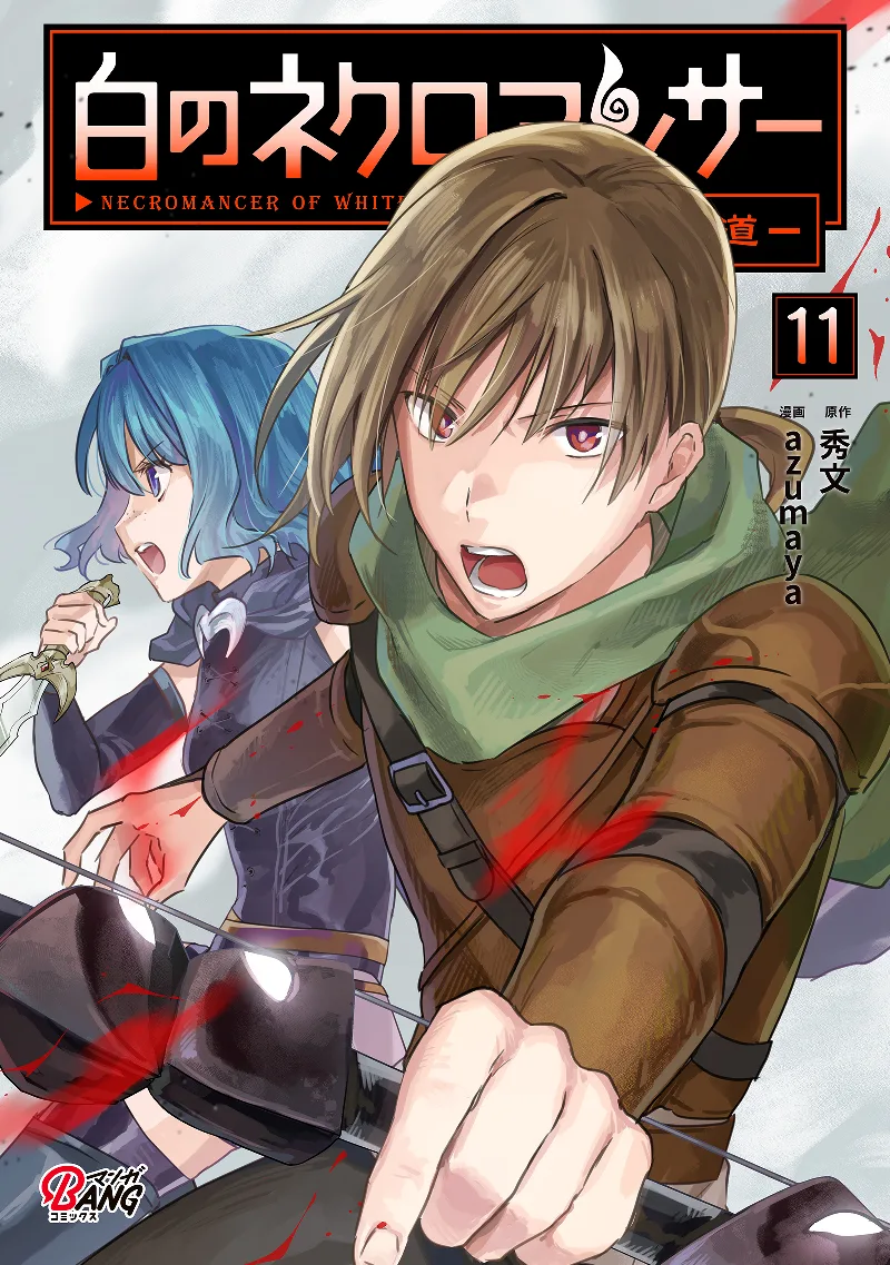 Volume 11