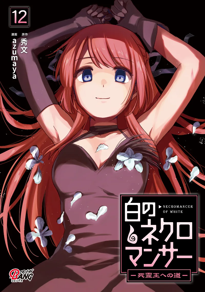 Volume 12