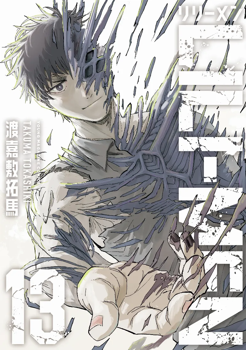 Volume 13