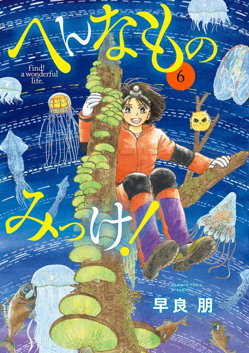 Volume 06
