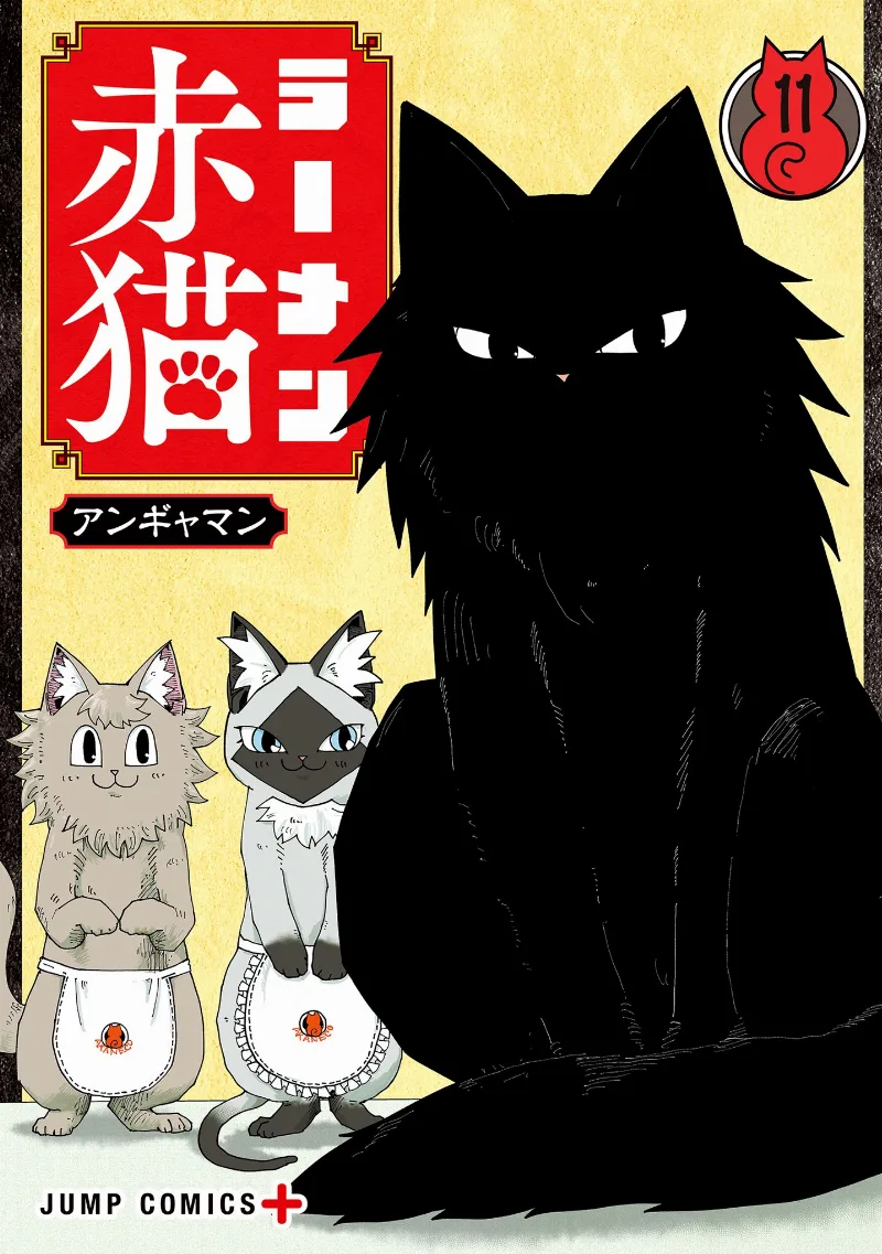 Volume 11