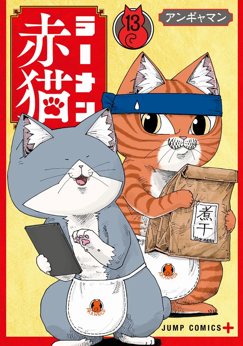 Volume 13