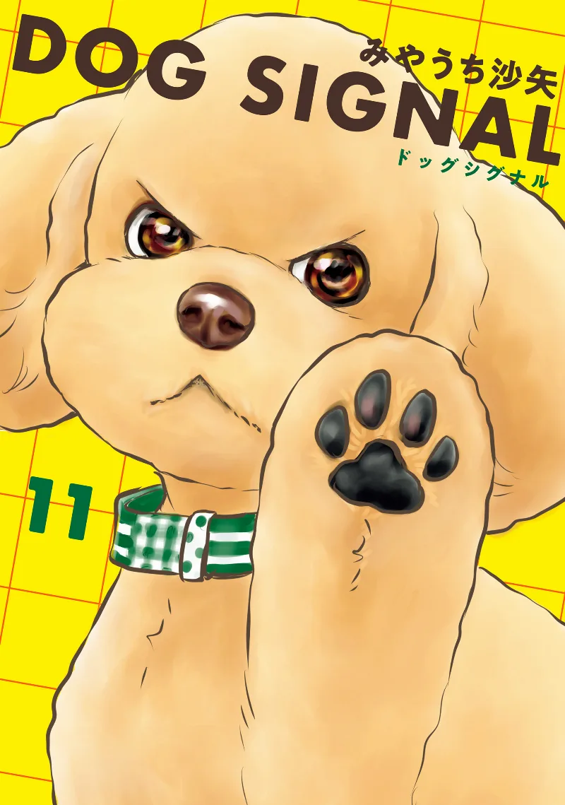 Volume 11