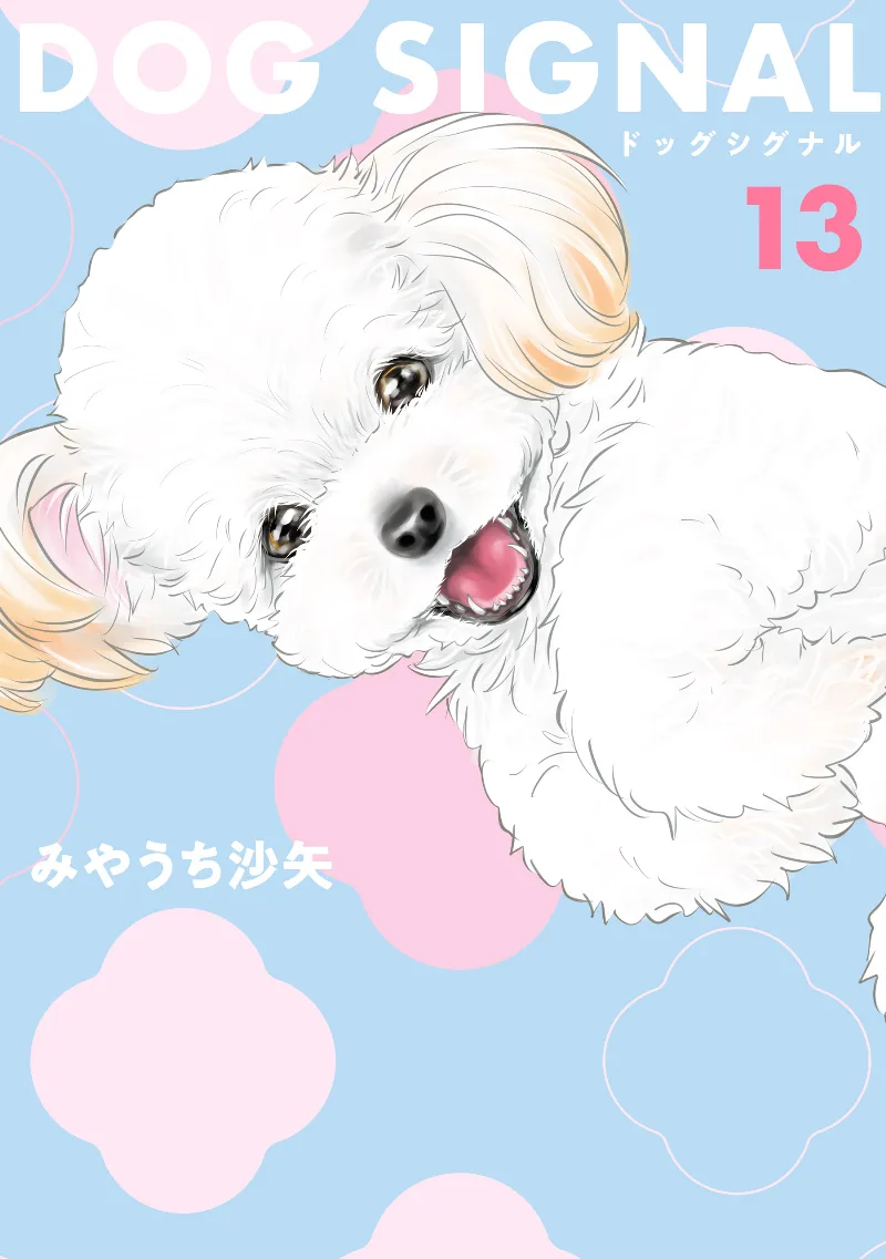 Volume 13