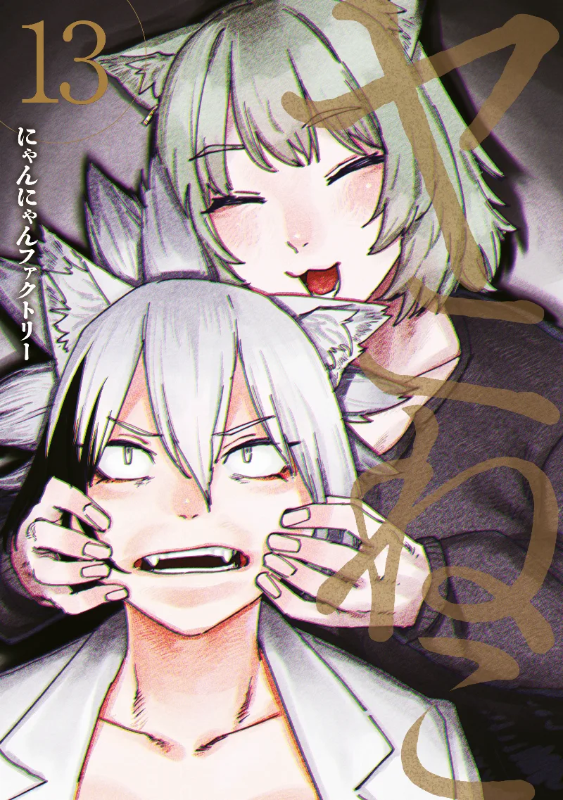 Volume 13