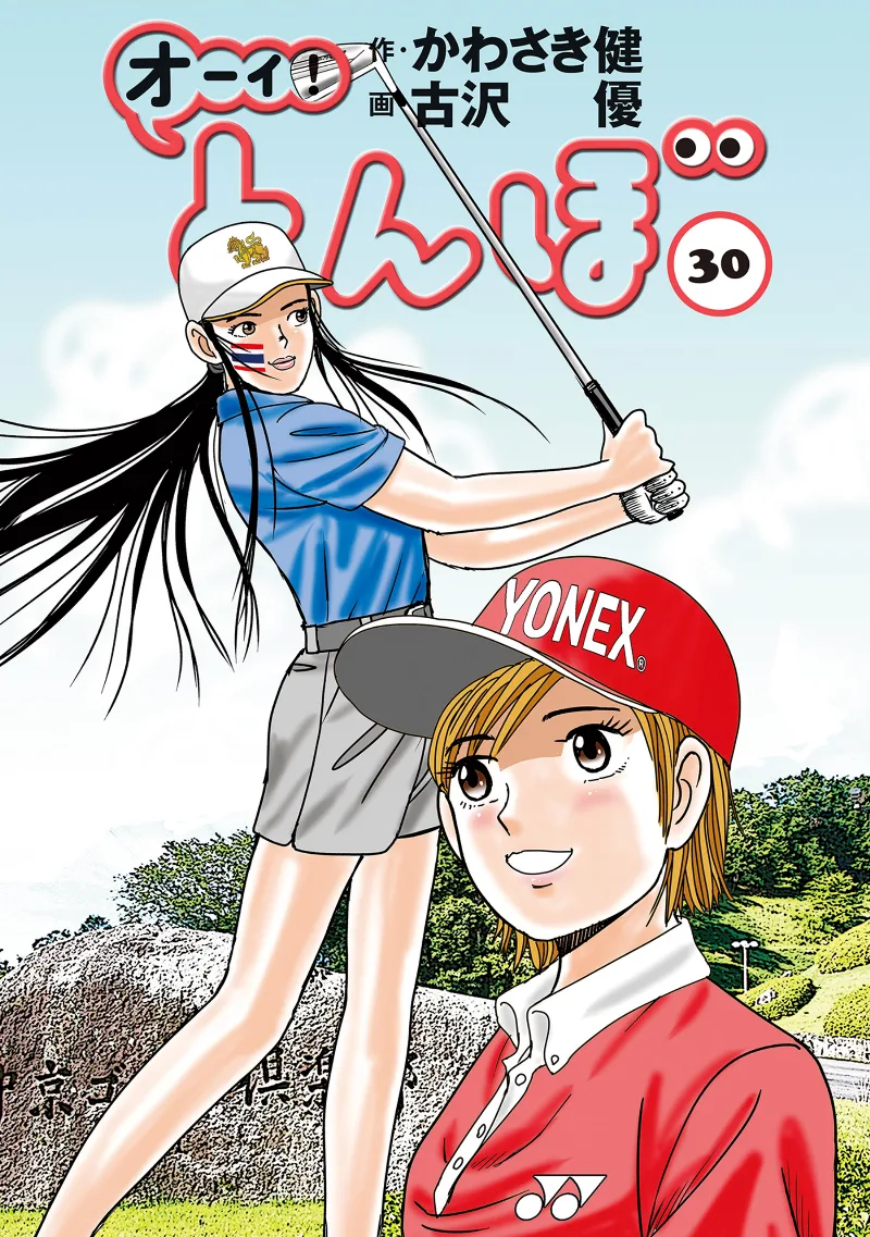 Volume 30