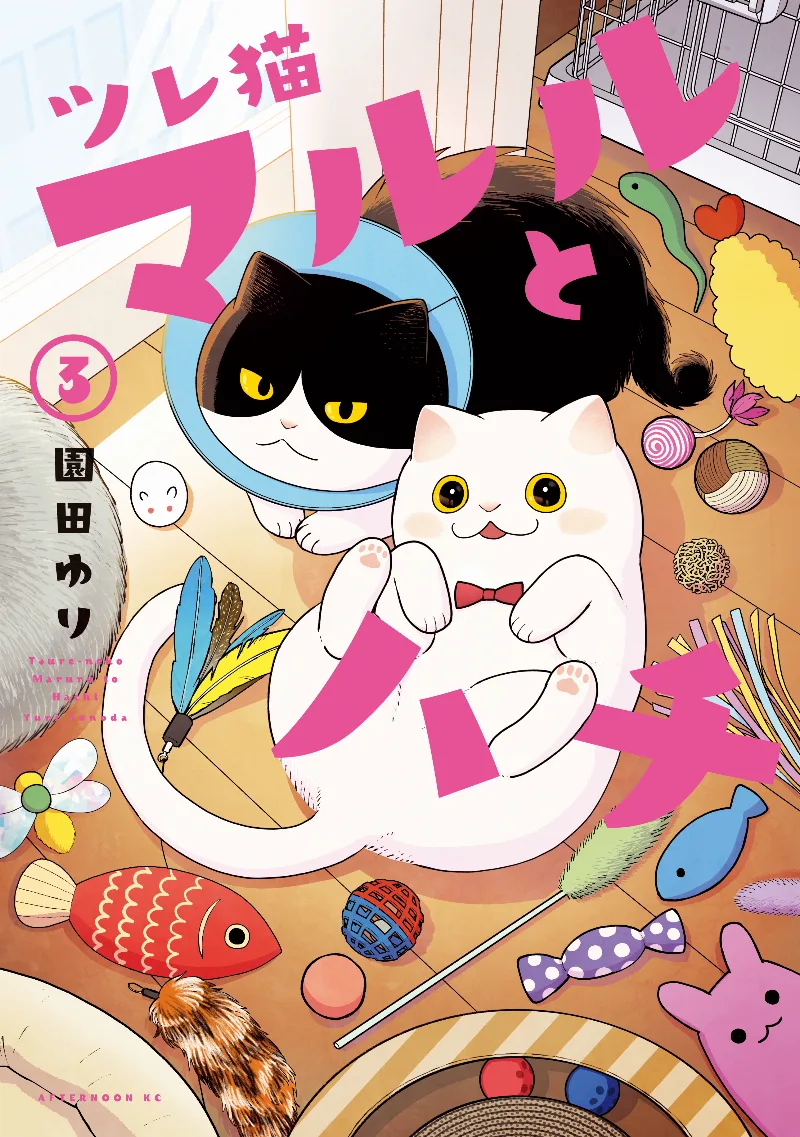 Volume 03