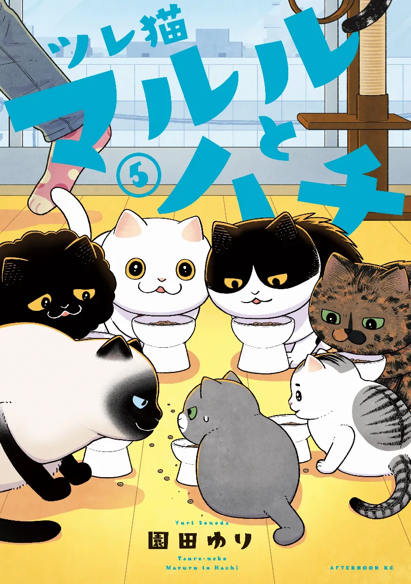 Volume 05