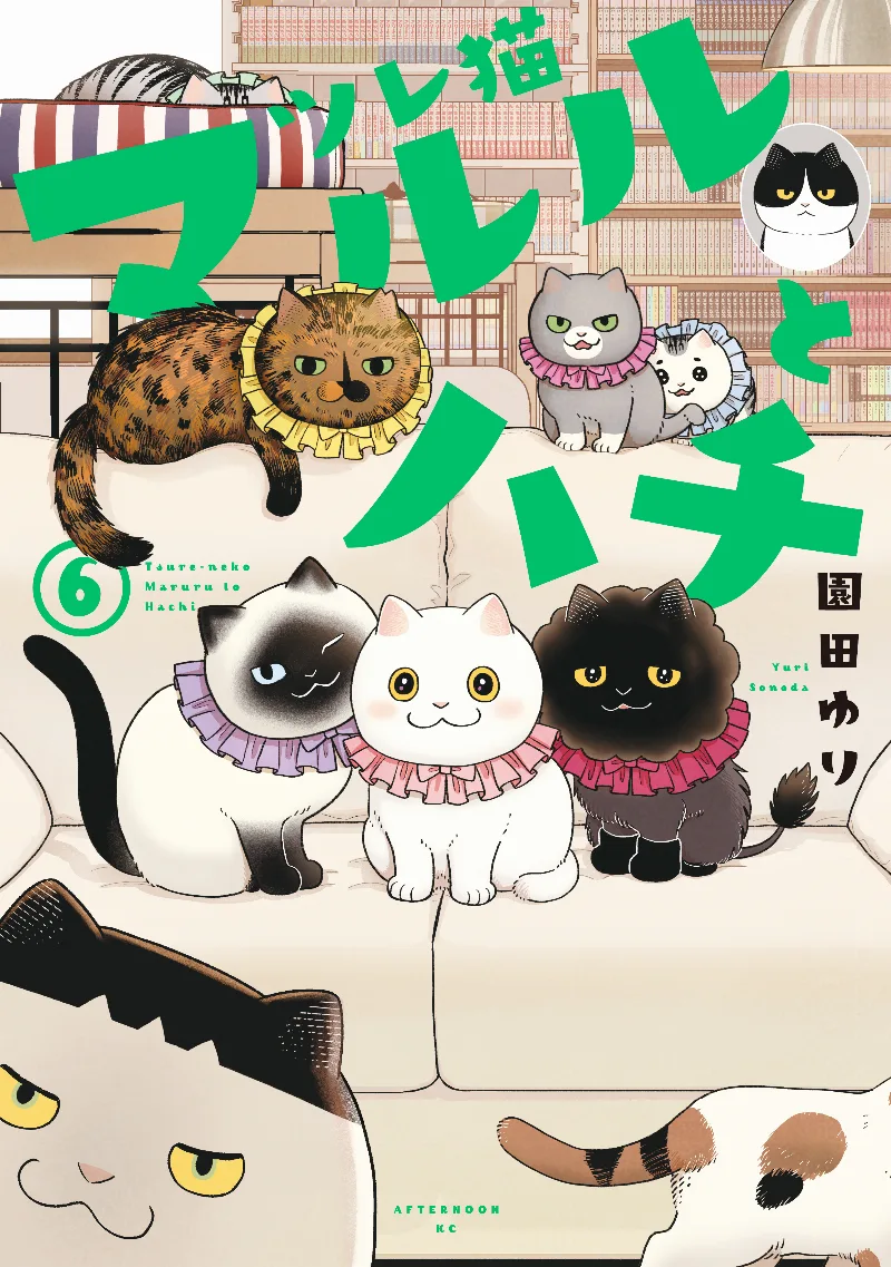 Volume 06