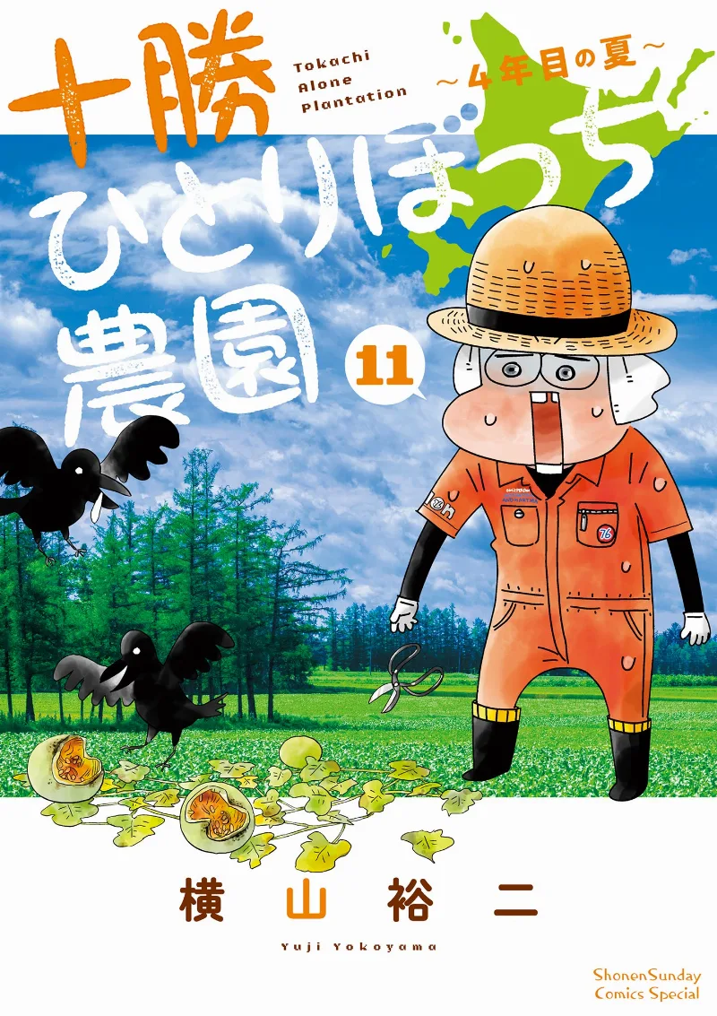 Volume 11