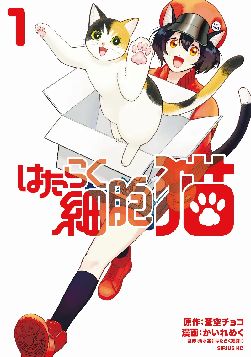 Volume 01