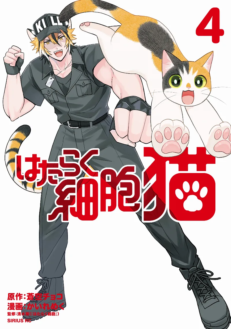 Volume 04