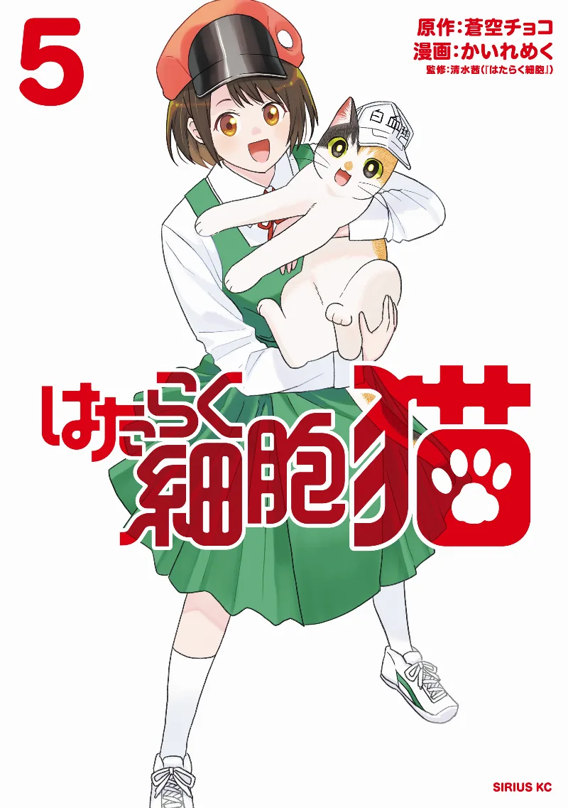 Volume 05
