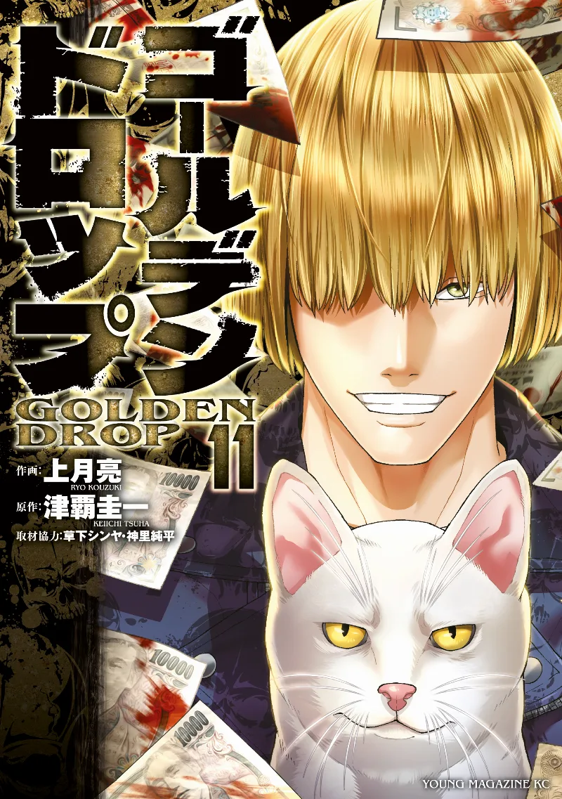 Volume 11