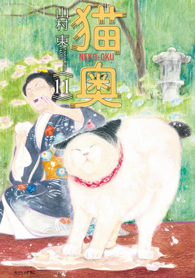 Volume 11